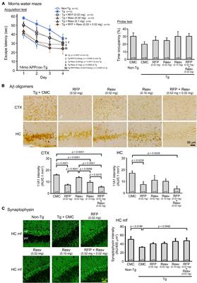 Oligomer-Targeting Prevention of Neurodegenerative Dementia by Intranasal Rifampicin and Resveratrol Combination – A Preclinical Study in Model Mice